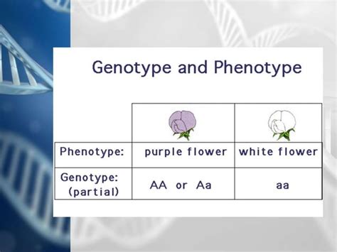 Genetics/ Gen. BIOLOGY 2