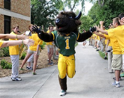 North Dakota State Bison mascot, Thundar the Buffalo | Ndsu bison ...