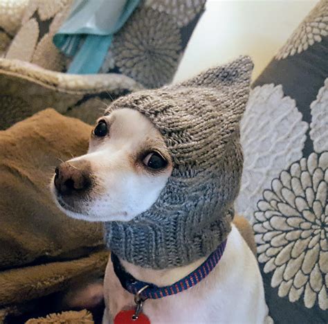 Ravelry: Pointy Dog Hat pattern by Jenya Rose