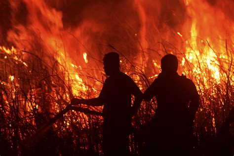 Firefighters battle peatland fires on Indonesia's Sumatra island