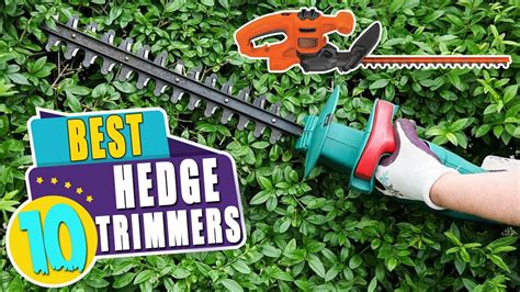 TOP 10 Best Hedge Trimmers for Your Garden | 2023 Buyer's Guide - YouTube