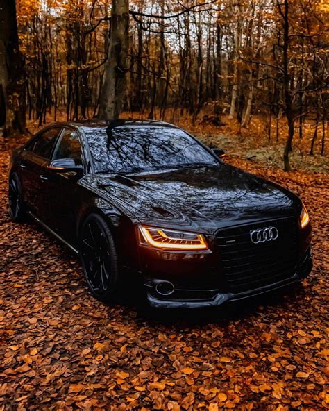 Another car from Autumn shoot Black Audi A8! This time no leafs on the ...