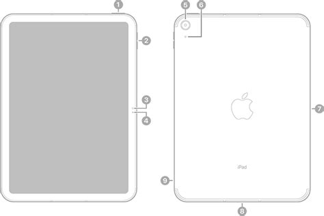 Ipad 10th Gen Display Size | edu.svet.gob.gt