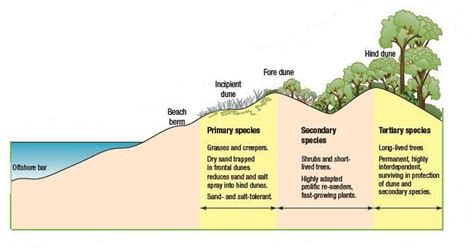 a diagram showing the different types of water and landforms