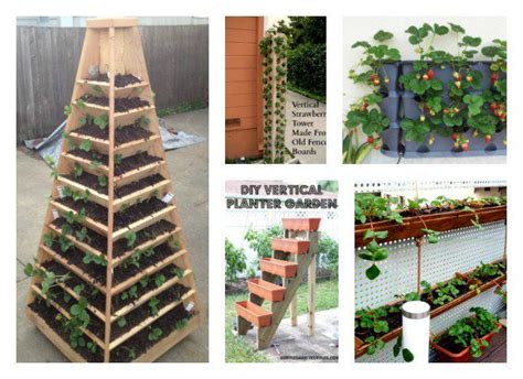 grow vertical strawberry garden in 10 diy ways | Strawberry garden, Vertical vegetable gardens ...