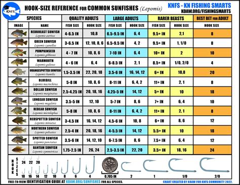 13+ Fish Hook Sizes Chart - RonanReagen