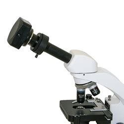 How to Mount a Microscope Camera Over the Eyepiece