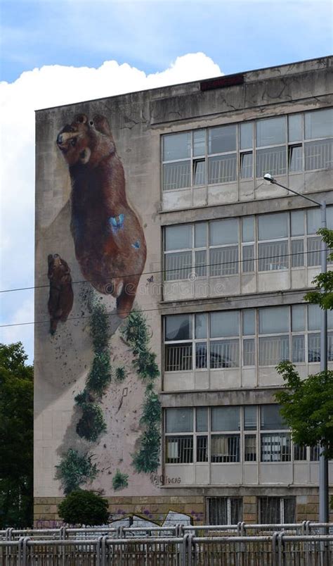 Graffiti Bear from Berlin editorial image. Image of color - 18613245