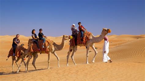 Dubai Desert Conservation Reserve | Dubai desert, Dubai, Conservation