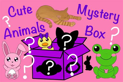 Mystery Box of Animal Themed Products - Etsy