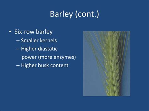 PPT - Barley and the Malting Process PowerPoint Presentation, free download - ID:3798776