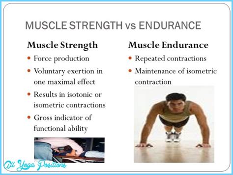 ASSESSING MUSCULAR STRENGTH AND ENDURANCE - AllYogaPositions.com