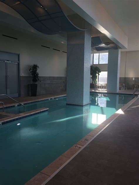 Hilton Norfolk The Main Pool: Pictures & Reviews - Tripadvisor