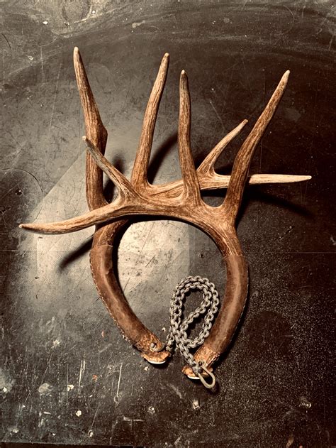 Custom Rattling Antlers — BRACA Co