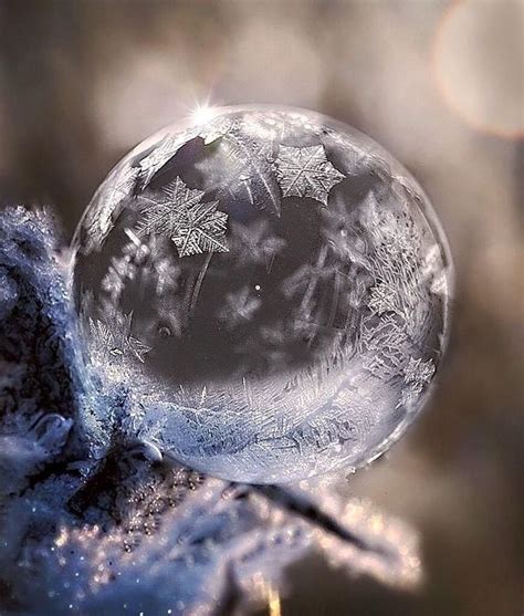 P I C T U R E on Twitter: "… " | Snowflake photography, Winter scenery ...