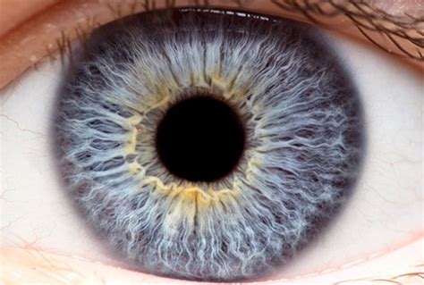 Preserving a Clear, Healthy Cornea - Corneal Care | Mark Mandel, MD