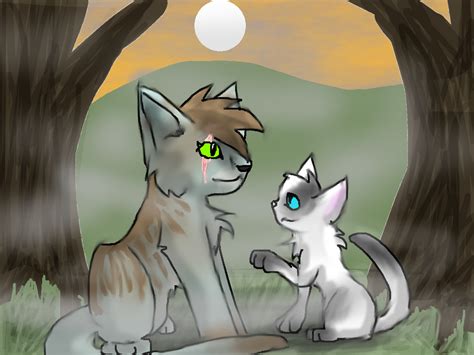 Warrior Cats- Request by October-Wolfy on DeviantArt