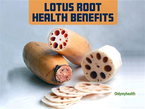 Lotus Root Health Benefits: This Superfood Can Benefit Health In These 5 Ways | OnlyMyHealth