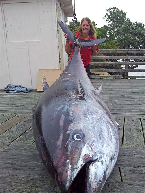 Giant Tuna Weighing 907-pound Sets New World Record for Lady Angler – Madlangbayan.ph