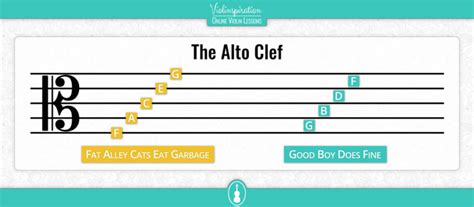 What is Viola Clef & How Violists Read Music - Violinspiration