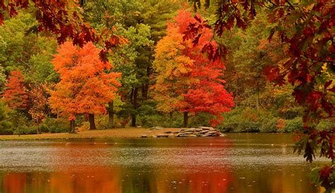 Autumn Reflections: Stunning HD Wallpaper of a Vibrant Lake and Forest