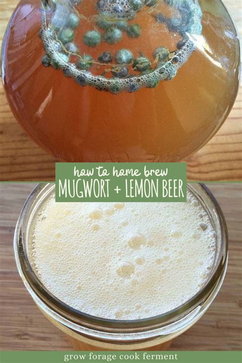 Mugwort Lemon Beer Recipe | Recipe | Lemon beer, Homemade beer ...