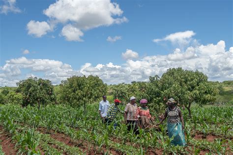 How small businesses are driving growth across African agriculture | Africa South of the Sahara