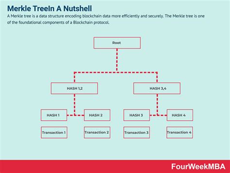 What Is A Merkle Tree And Why It Matters To Understand Blockchain Business Models - FourWeekMBA