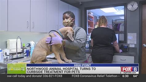 Small Business Spotlight: Northwood Animal Hospital - YouTube