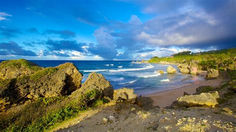 Visit Bathsheba: Best of Bathsheba Tourism | Expedia Travel Guide