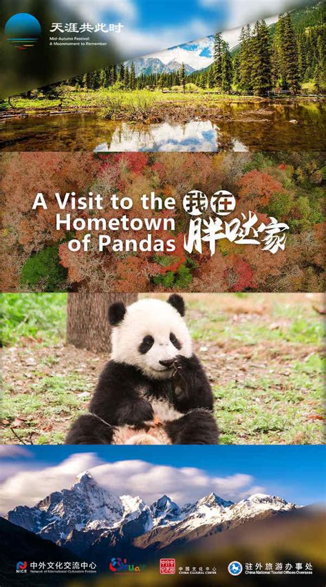 SICHUAN, MORE THAN PANDAS