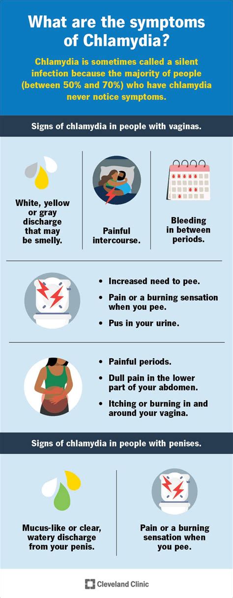 Chlamydia: Causes, Symptoms, Treatment & Prevention