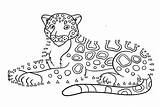 20  Jaguar Coloring Pages Free Printable PDF & Online sketch template