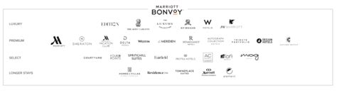 List of Pet-Friendly Marriott Brands in 2023 [Policies, Sizes]