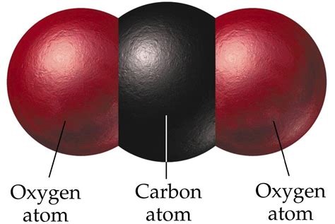 Diagram Of Carbon Dioxide