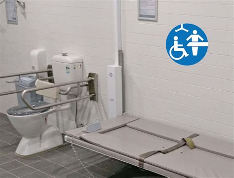 Accessible Disabled Bathrooms and Equipment - Para Mobility