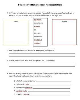 Binomial Nomenclature Naming Worksheet Answers