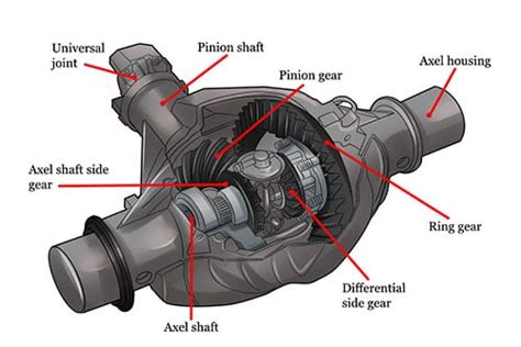 Differential Gear Diagram