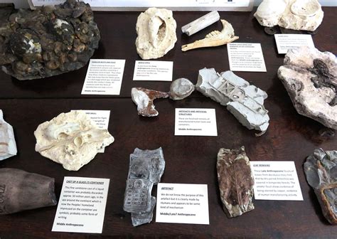 Fossils of the Anthropocene | Libby Jones