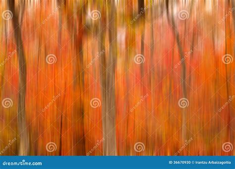 Abstract Blurred Background. Autumn Trees Stock Photo - Image of abstract, blurred: 36670930