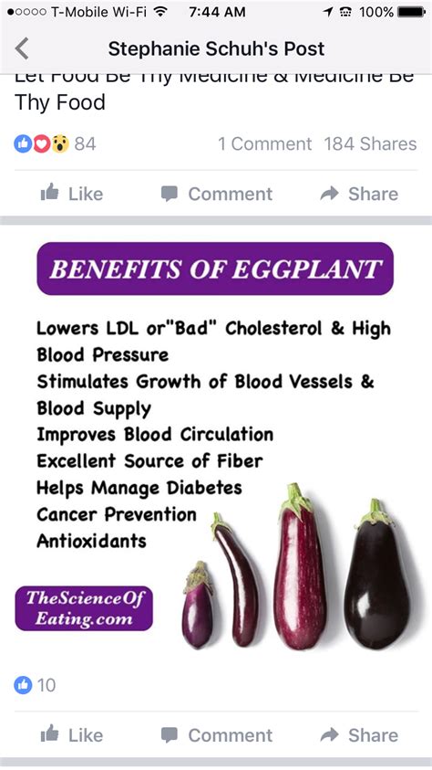 Pin by Olivia Aguayo on Health | Eggplant benefits, Lowering ldl, Health