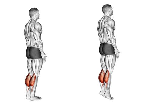 What Are Standing Calf Raises