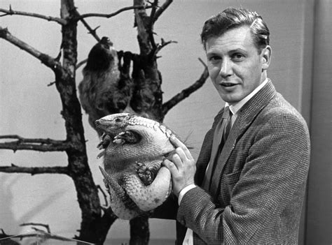 Here's a throwback to David Attenborough at the start of his career | David attenborough, David ...