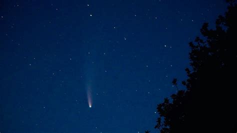 Comet NEOWISE - Sky & Telescope - Sky & Telescope