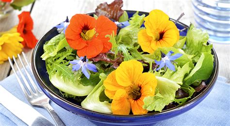 9 Edible flowers with surprising health benefits