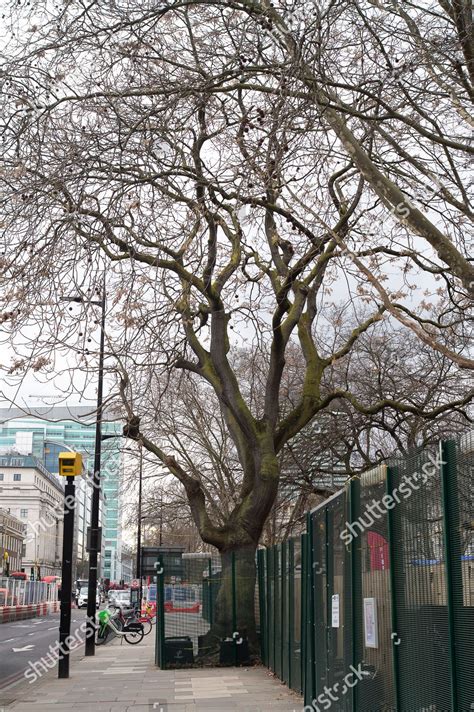 Euston Square Gardens Pictured Outside Euston Editorial Stock Photo ...