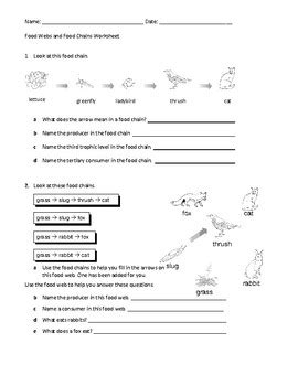 Food Webs and Food Chains Worksheet by Family 2 Family Learning Resources