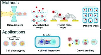 Recent advances in microfluidic devices for single-cell cultivation: methods and applications ...