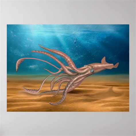 THE GIANT SQUID POSTER | Zazzle