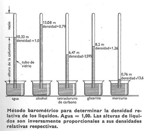 Significado de «densidad relativa»